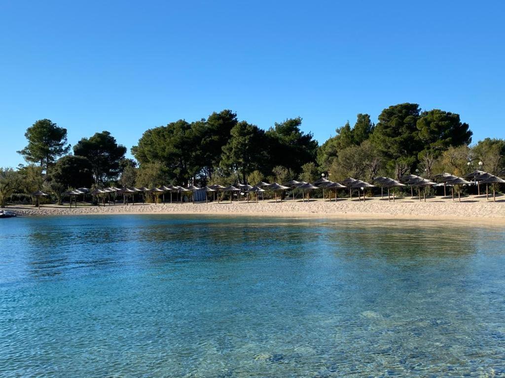 Apartments Plavi Biser Šibenik Exteriér fotografie